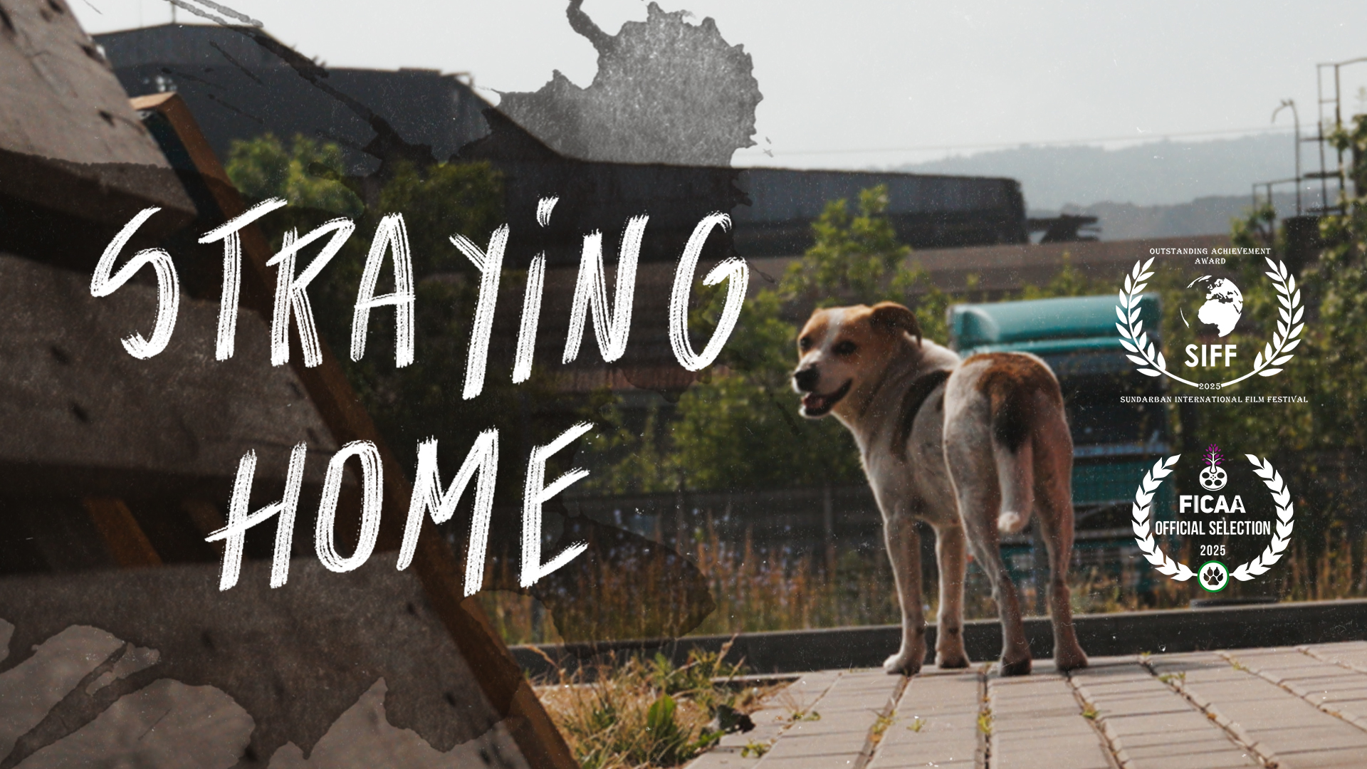 Cover- Straying home. A film essay with urban animals