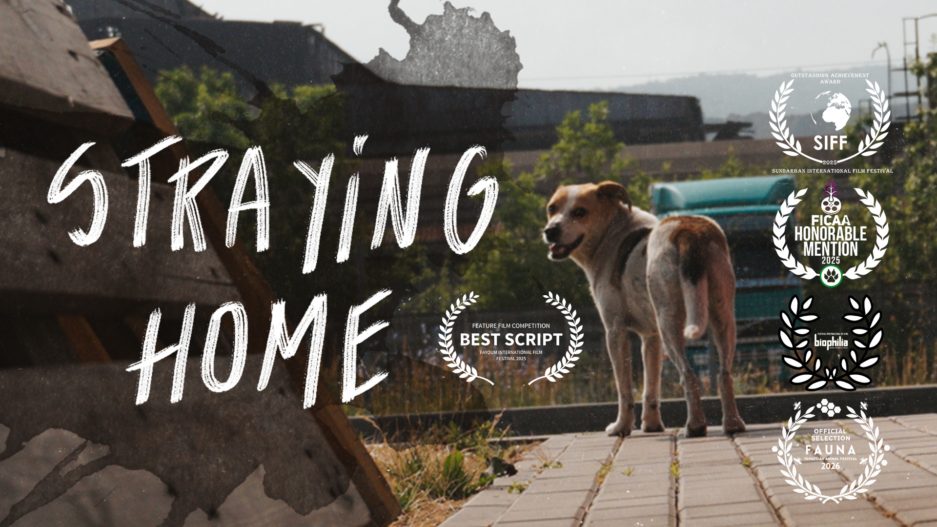 Cover- Straying home. A film essay with urban animals